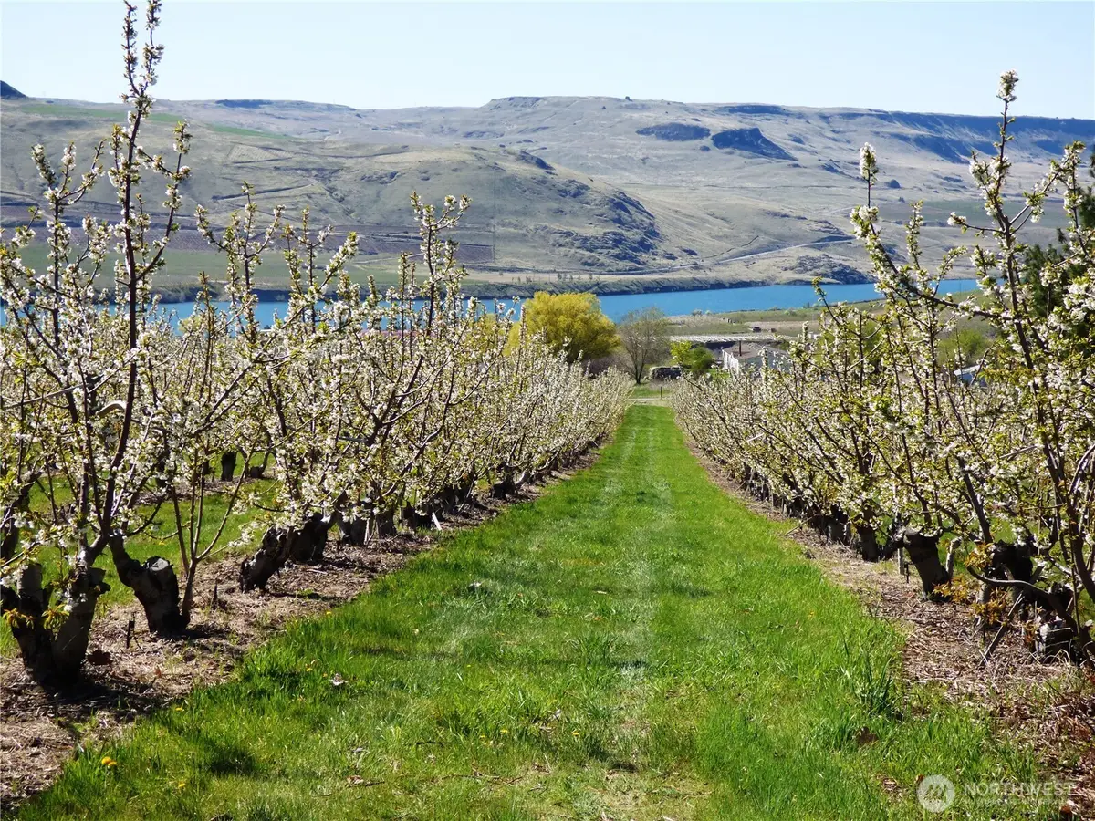 501 Jack Wells Road, Bridgeport, WA 98813 - #1