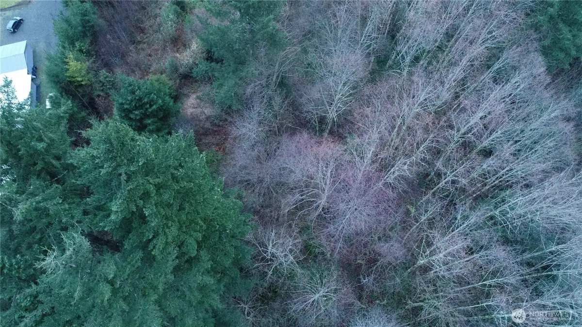 0 N 2nd St, Morton, WA 98572 - #1