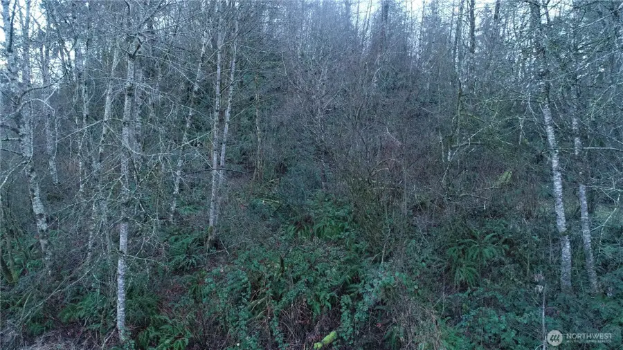 0 N 2nd St, Morton, WA 98572 - #3