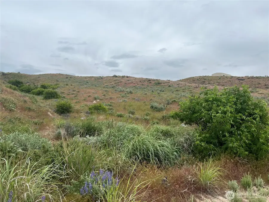 0 Nna Windmill, Brewster, WA 98812 - #2