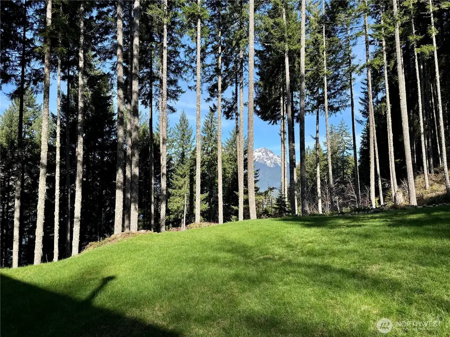 70 N Rim View Place, Hoodsport, WA 98548 - #2