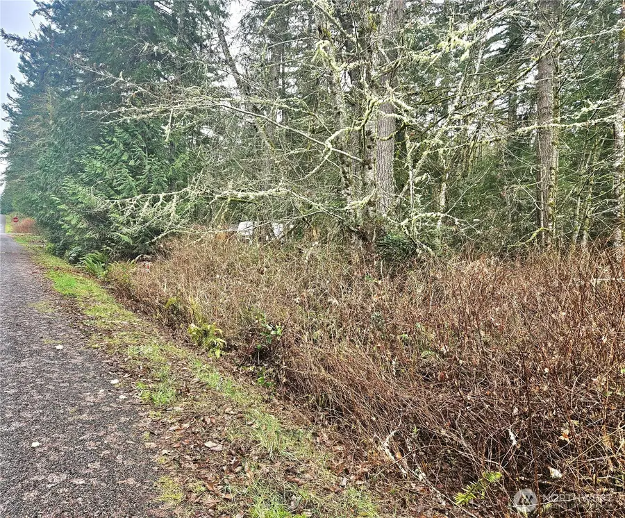 4 W Go Onna Drive #4, Quilcene, WA 98376 - #3