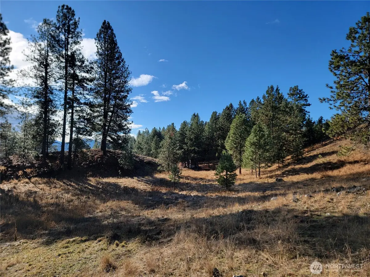 999 Stabenfeldt Drive #Lot 22, Republic, WA 99166 - #1