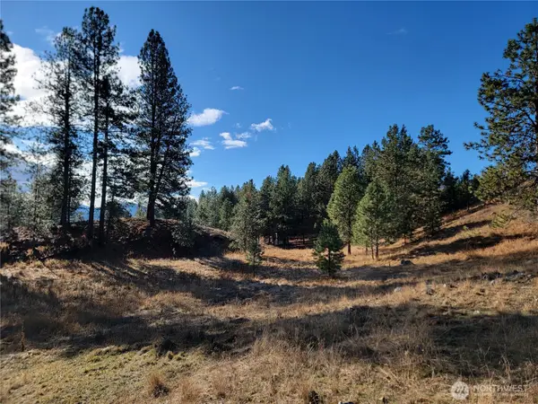 999 Stabenfeldt Drive #Lot 22, Republic, WA 99166