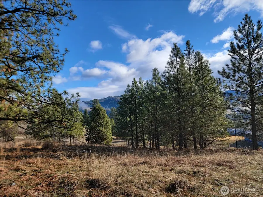 999 Stabenfeldt Drive #Lot 22, Republic, WA 99166 - #2