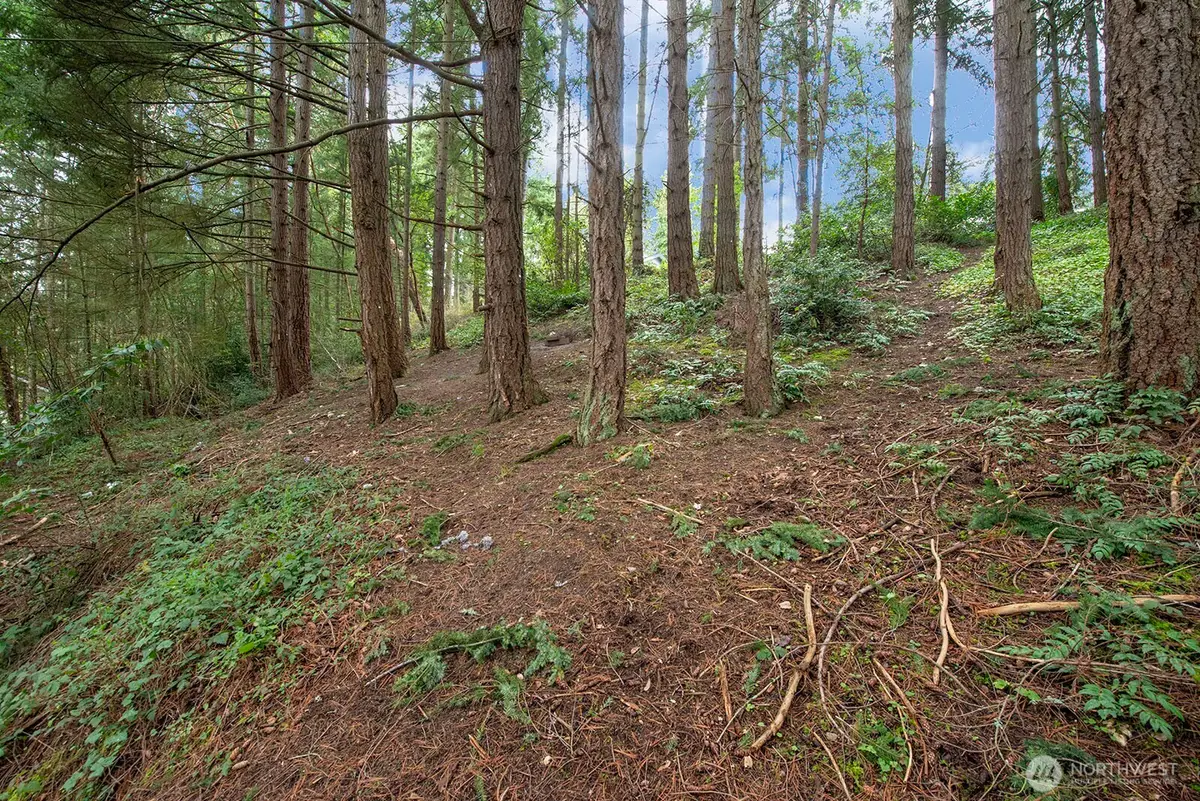516 North 178th Court, Shoreline, WA 98133 - #1