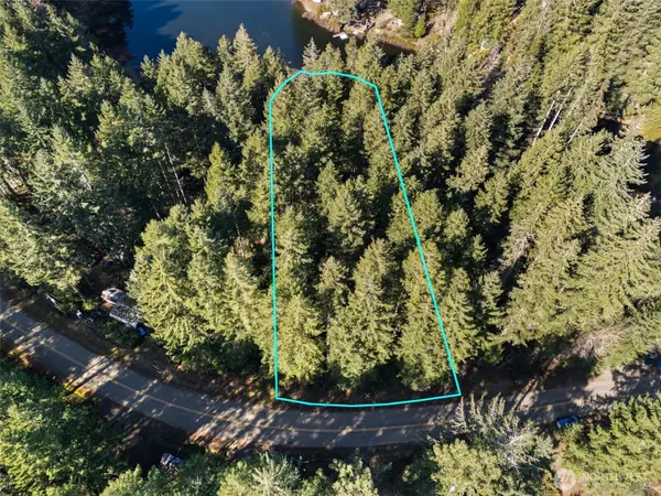 431 NE Collins Lake Drive, Tahuya, WA 98588