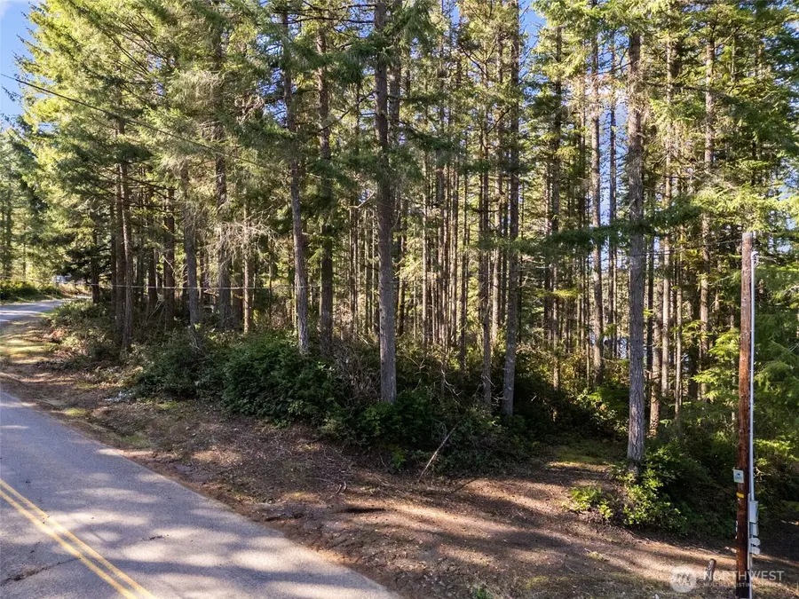 431 NE Collins Lake Drive, Tahuya, WA 98588 - #3