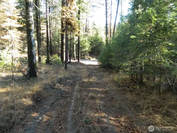 0 Tbd Summit Lake Road, Tonasket, WA 98855