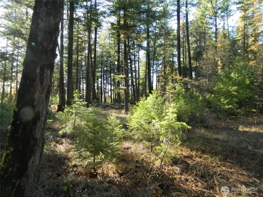 0 Tbd Summit Lake Road, Tonasket, WA 98855 - #2