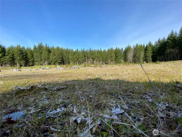 0 Xxx 250th Ave E #2, Orting, WA 98360