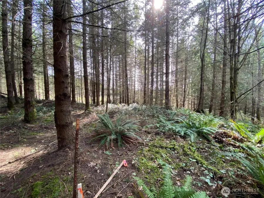 0 Xxx 250th Ave E #2, Orting, WA 98360 - #3