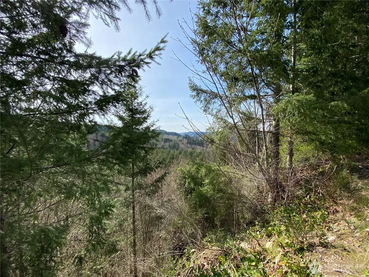 0 250th Ave E #3, Orting, WA 98360 - #1