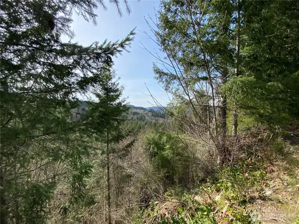 0 250th Ave E #3, Orting, WA 98360