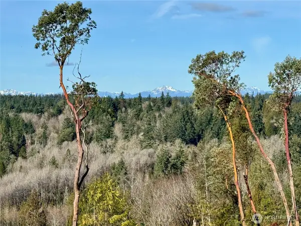 4223 183rd Avenue Ct Sw #Revised Lot A, Longbranch, WA 98351