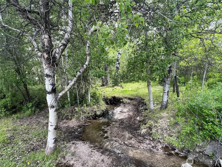 0 Wild Rose Lane, Tonasket, WA 98855 - #2