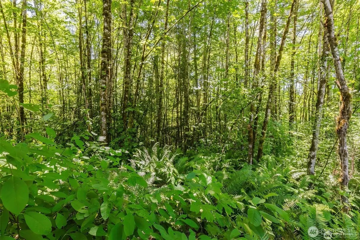 11 Cassie Place Nw #11, Poulsbo, WA 98370 - #1