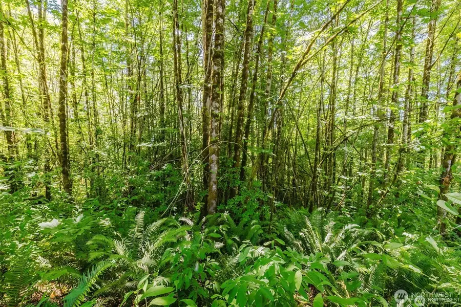 11 Cassie Place Nw #11, Poulsbo, WA 98370 - #3