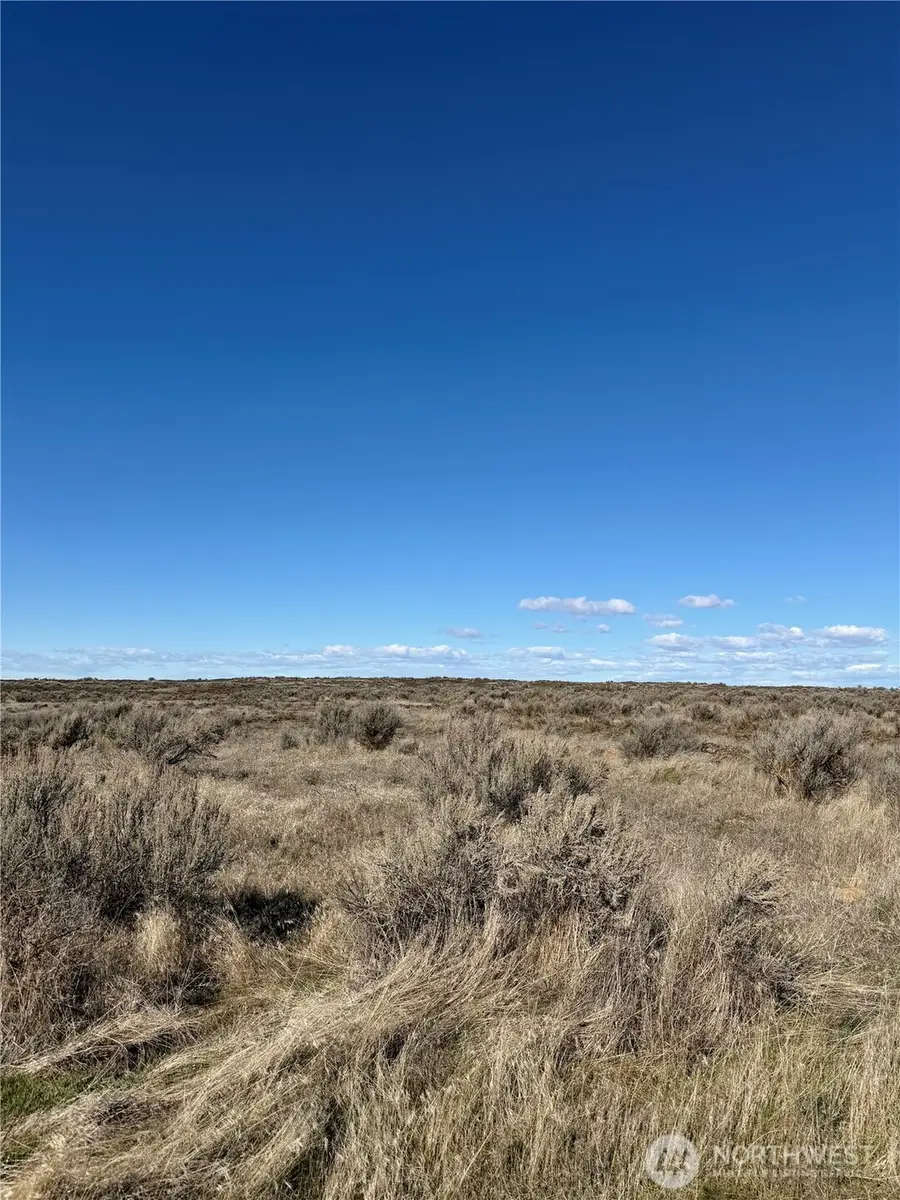 225 Eagle Springs Ranch #225, Wilson Creek, WA 98860 - #3