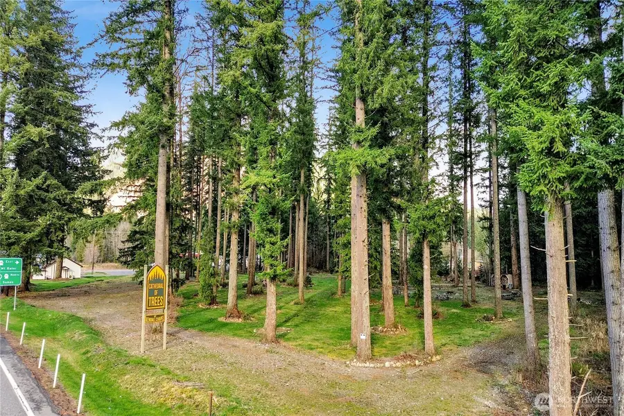 0 Mt Baker Highway, Deming, WA 98244 - #3