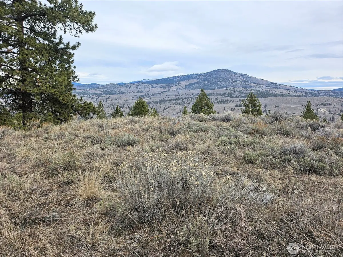 1 Tbd Badger Road, Tonasket, WA 98855 - #1