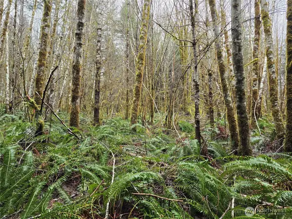 0 W Elk Hill Road #4, Elma, WA 98541