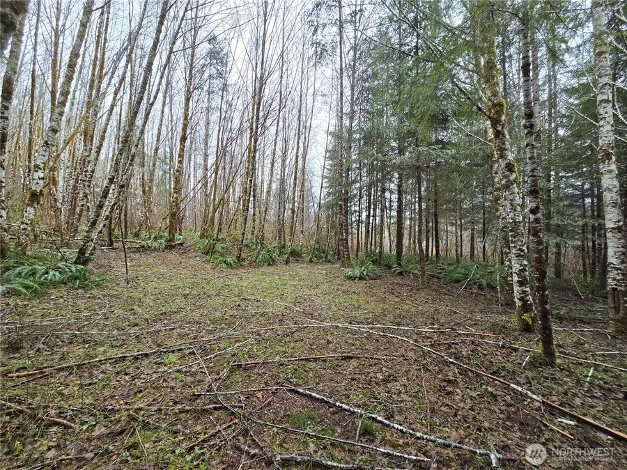 0 W Elk Hill Road #4, Elma, WA 98541 - #2