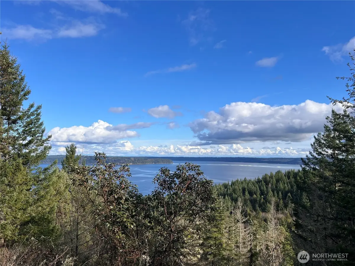 59 Moose Mountain Road, Brinnon, WA 98320 - #1