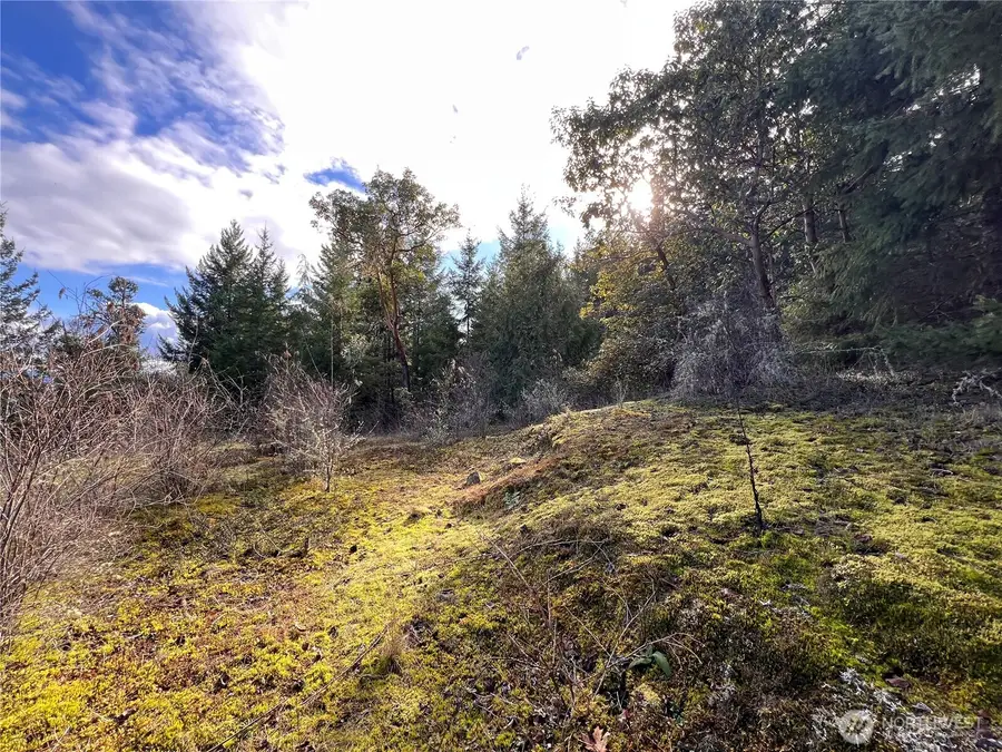 59 Moose Mountain Road, Brinnon, WA 98320 - #3