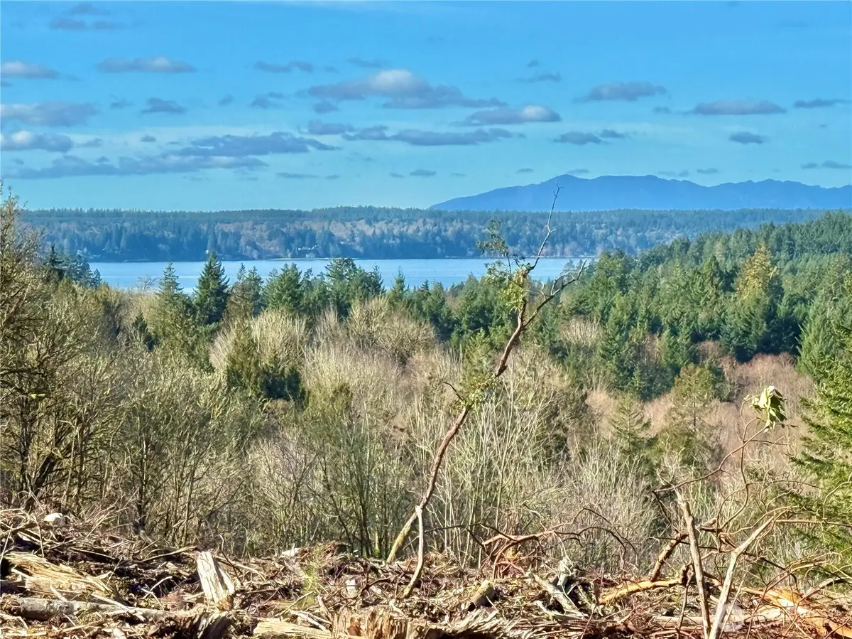 4319 183rd Avenue Ct Sw #Revised Lot B, Longbranch, WA 98351 - #1