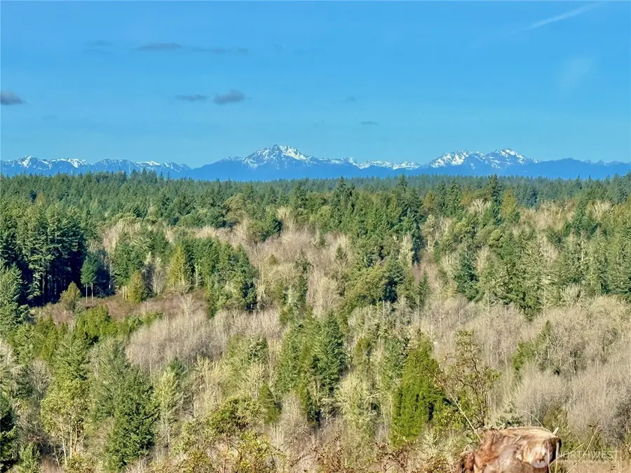 4319 183rd Avenue Ct Sw #Revised Lot B, Longbranch, WA 98351 - #2