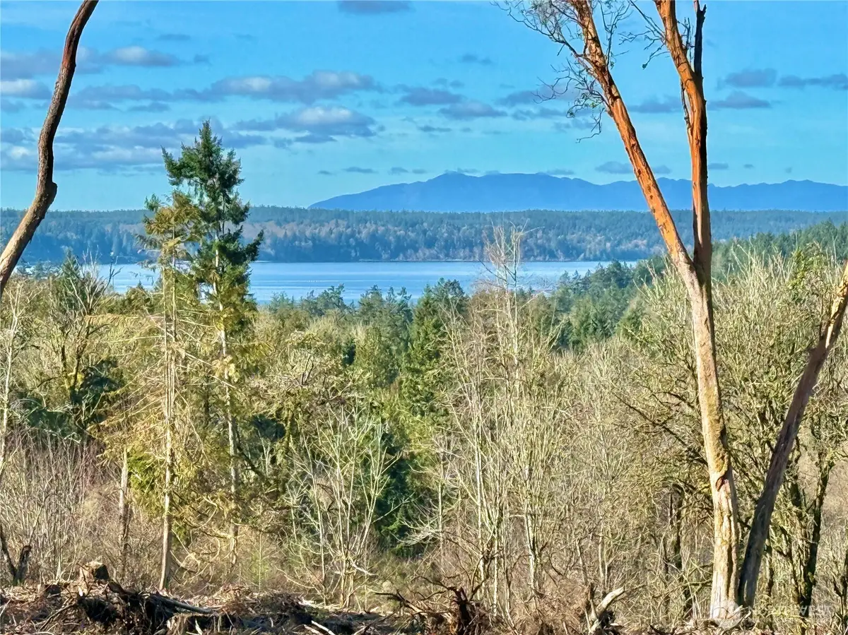 4324 183rd Avenue Ct Sw #Revised Lot C, Longbranch, WA 98351 - #1