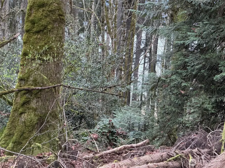 17680 Hallman Road Nw, Poulsbo, WA 98370 - #3