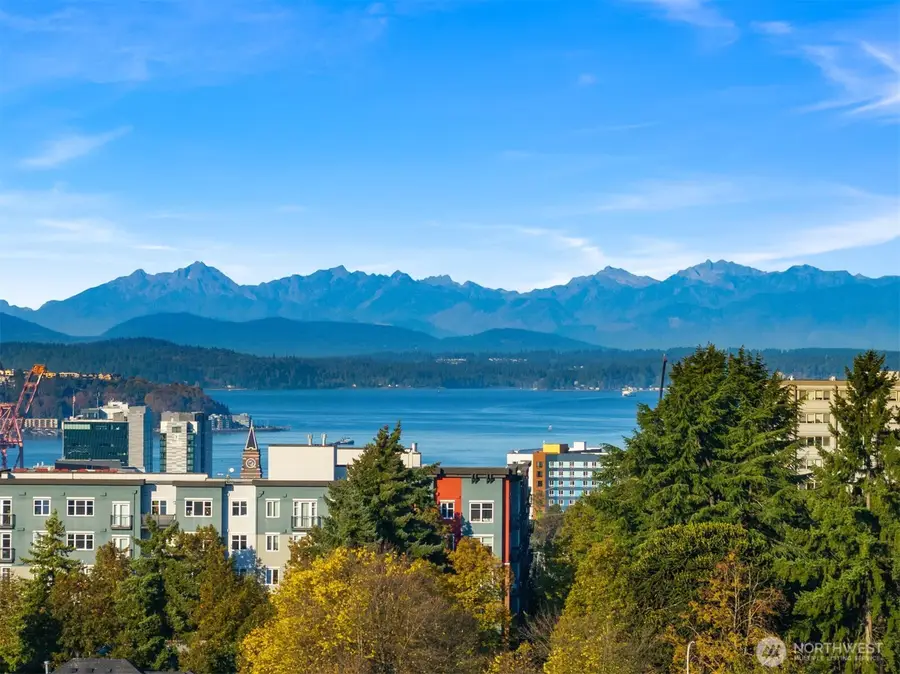 303 23rd Avenue S #310, Seattle, WA 98144 - #3