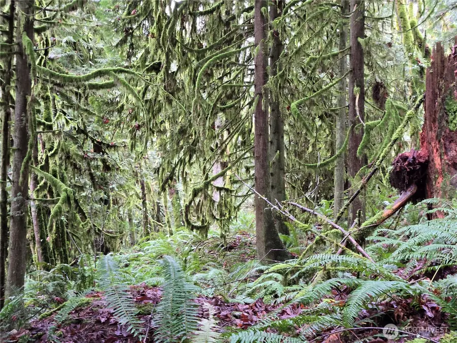 185 123rd (northern Lot) Avenue Ne #8, Arlington, WA 98223 - #3