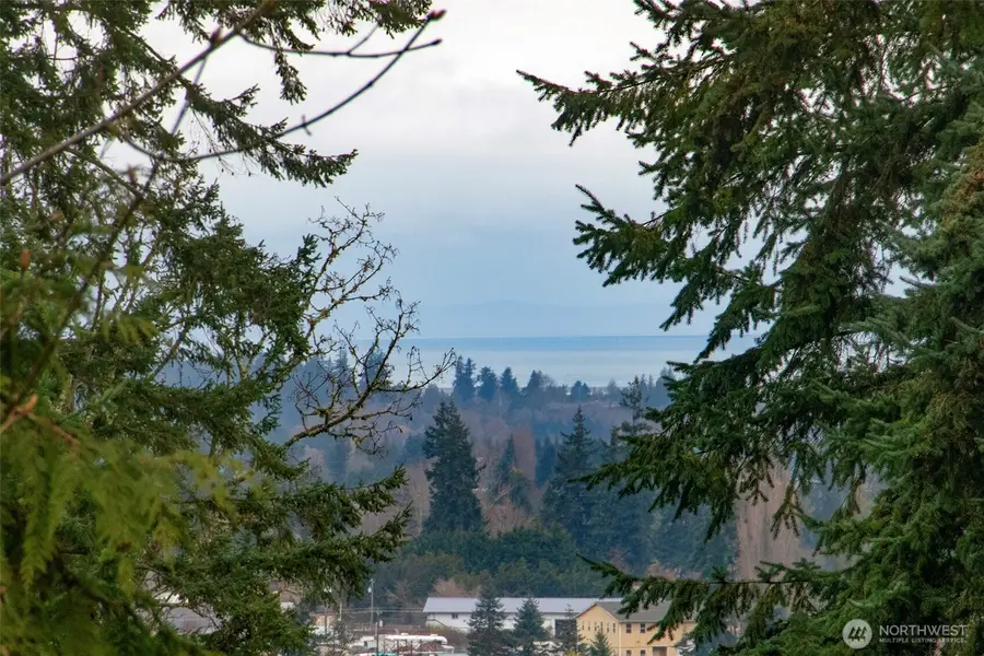 141 Lavender Ridge Lane, Sequim, WA 98382 - #3