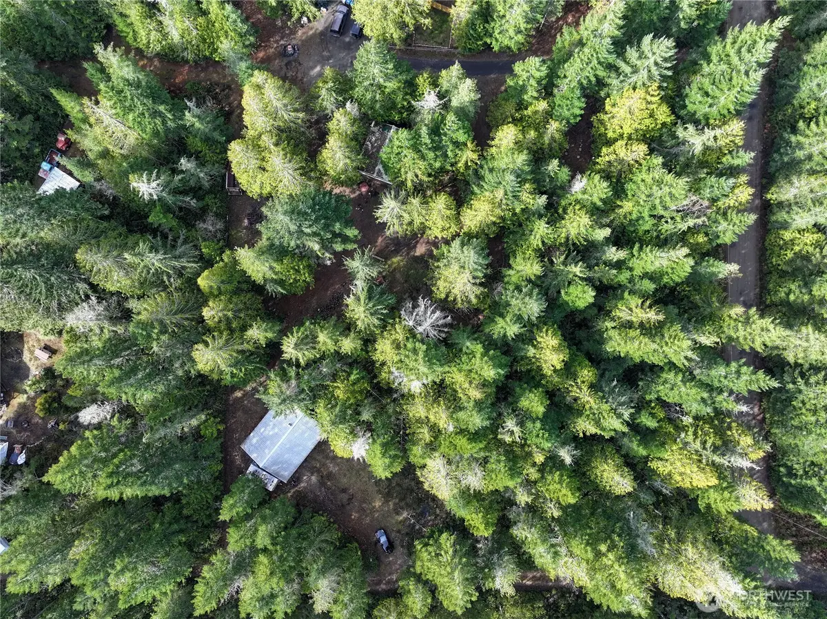 260 NE Kissin Tree Lane, Tahuya, WA 98588 - #1