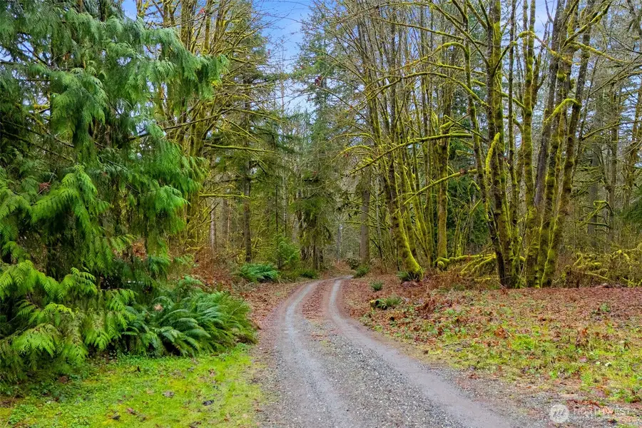 9355 Adams Drive, Concrete, WA 98237 - #2