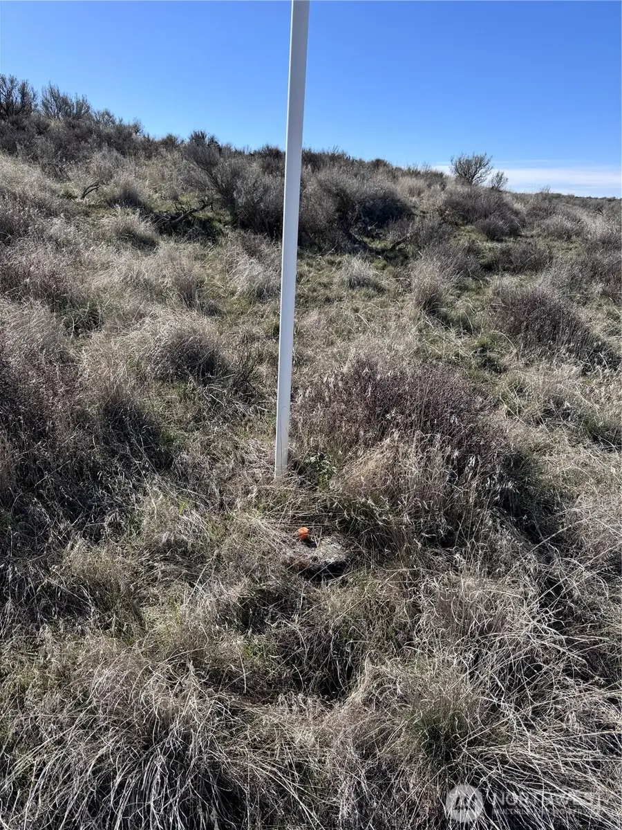 154 Eagle Springs Ranch #154, Wilson Creek, WA 98860 - #2