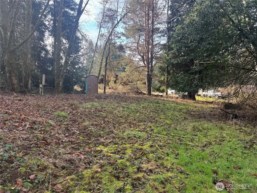 106 Olequa Place, Vader, WA 98593 - #2