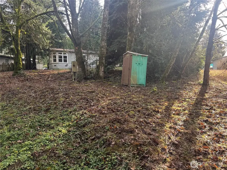 106 Olequa Place, Vader, WA 98593 - #3