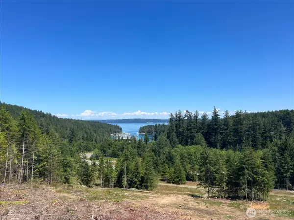 3 Mt Jupiter Road #1, Brinnon, WA 98320