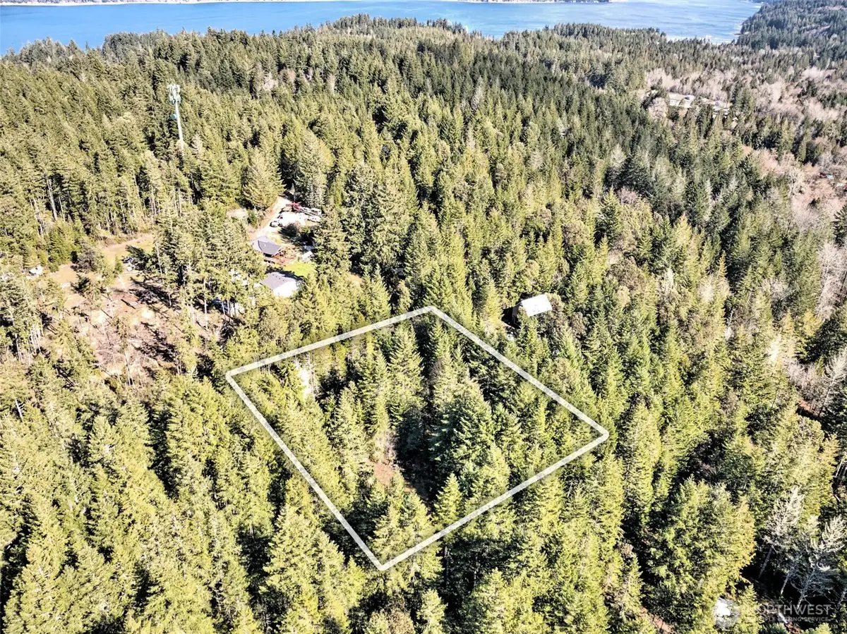 131 E Skyview Drive, Union, WA 98592 - #1