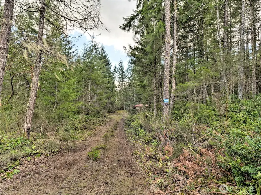 131 E Skyview Drive, Union, WA 98592 - #3