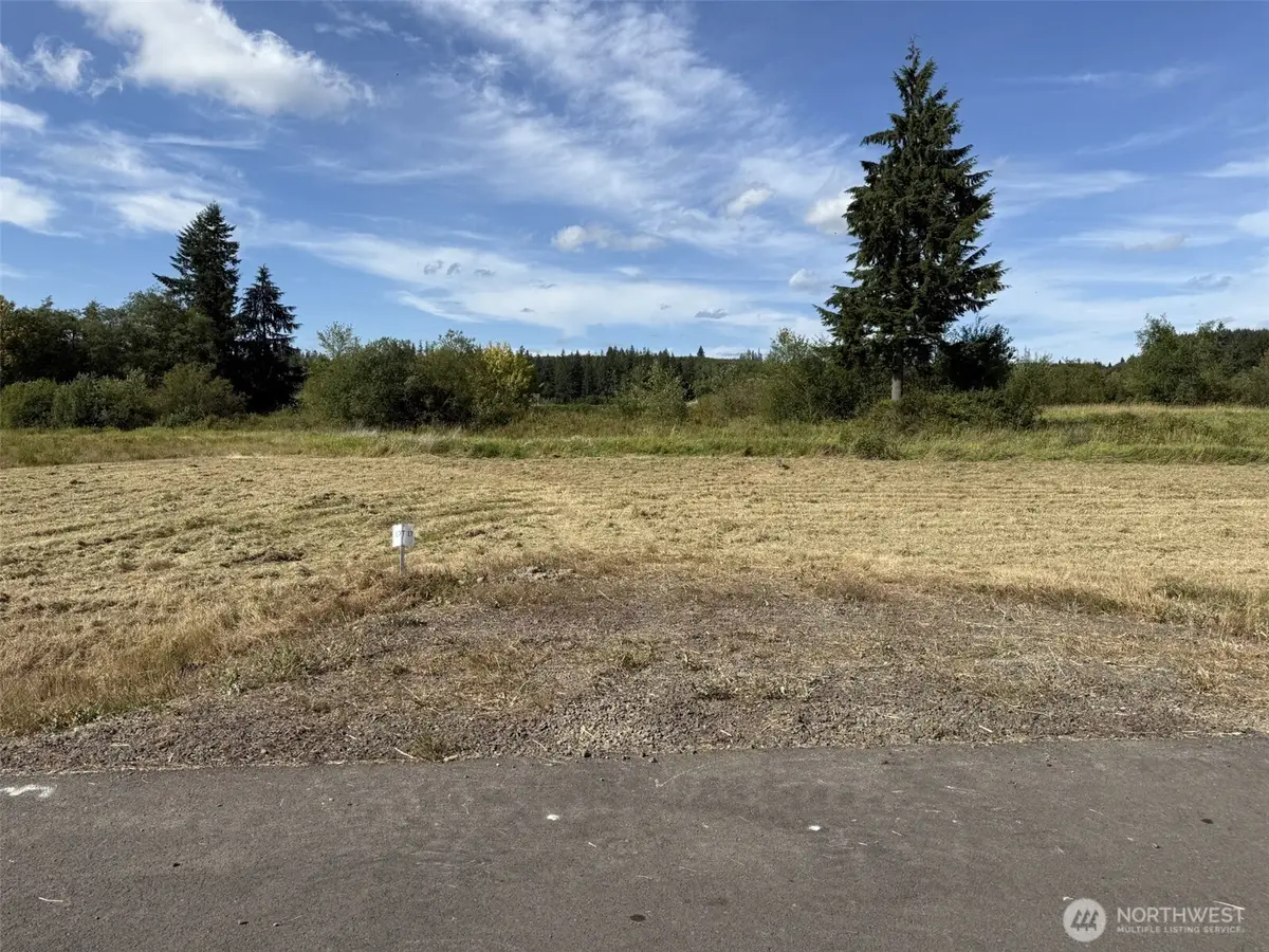 17 Sunburst Lane, Onalaska, WA 98570 - #1