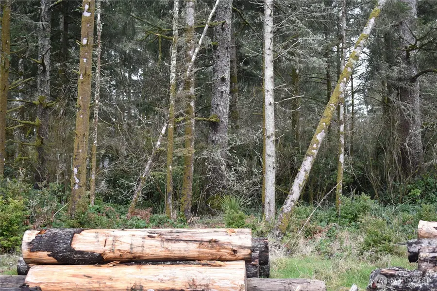 781 Mariner Court Se #41, Ocean Shores, WA 98569 - #3