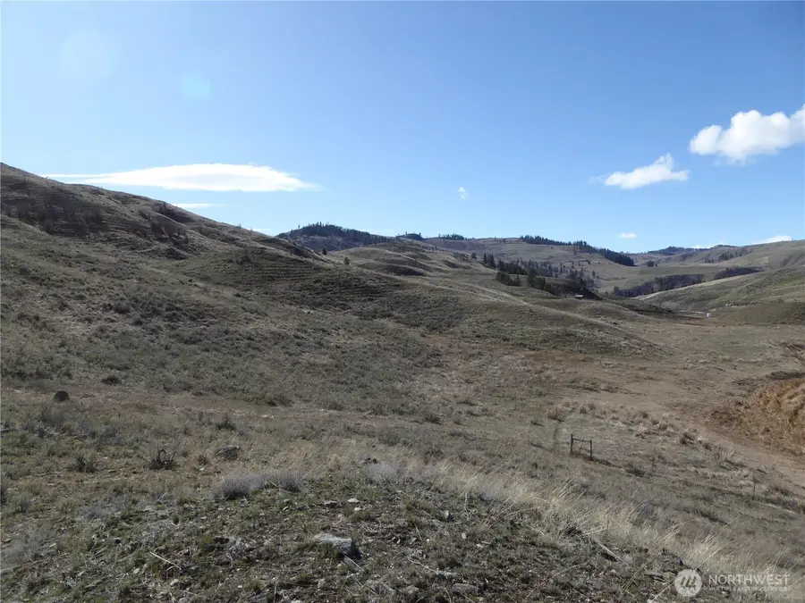 170 Henry Road #Lot 1 and 2, Tonasket, WA 98855 - #3