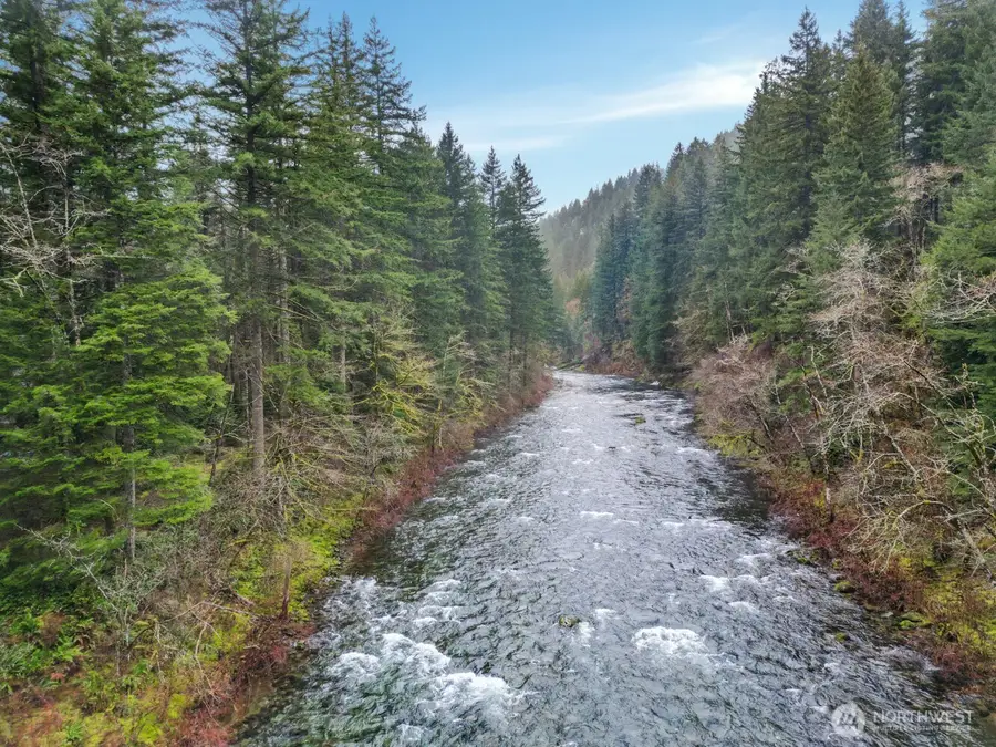 15202 Washougal River Road, Washougal, WA 98671 - #3