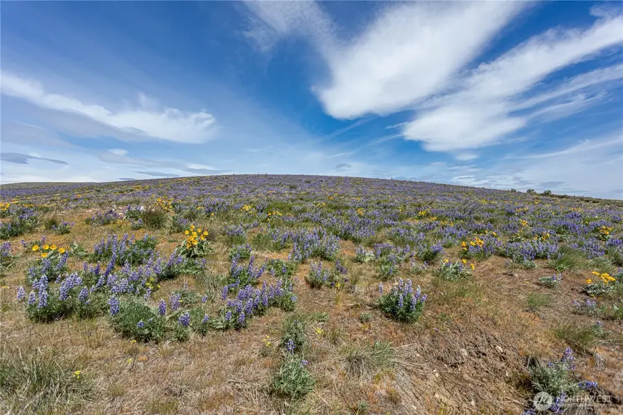 0 Burch Mountain Road #2, Wenatchee, WA 98801 - #2