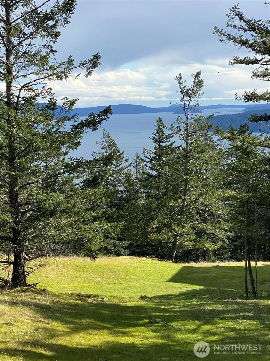 9 Tomihi Drive #9, Eastsound, WA 98245 - #2